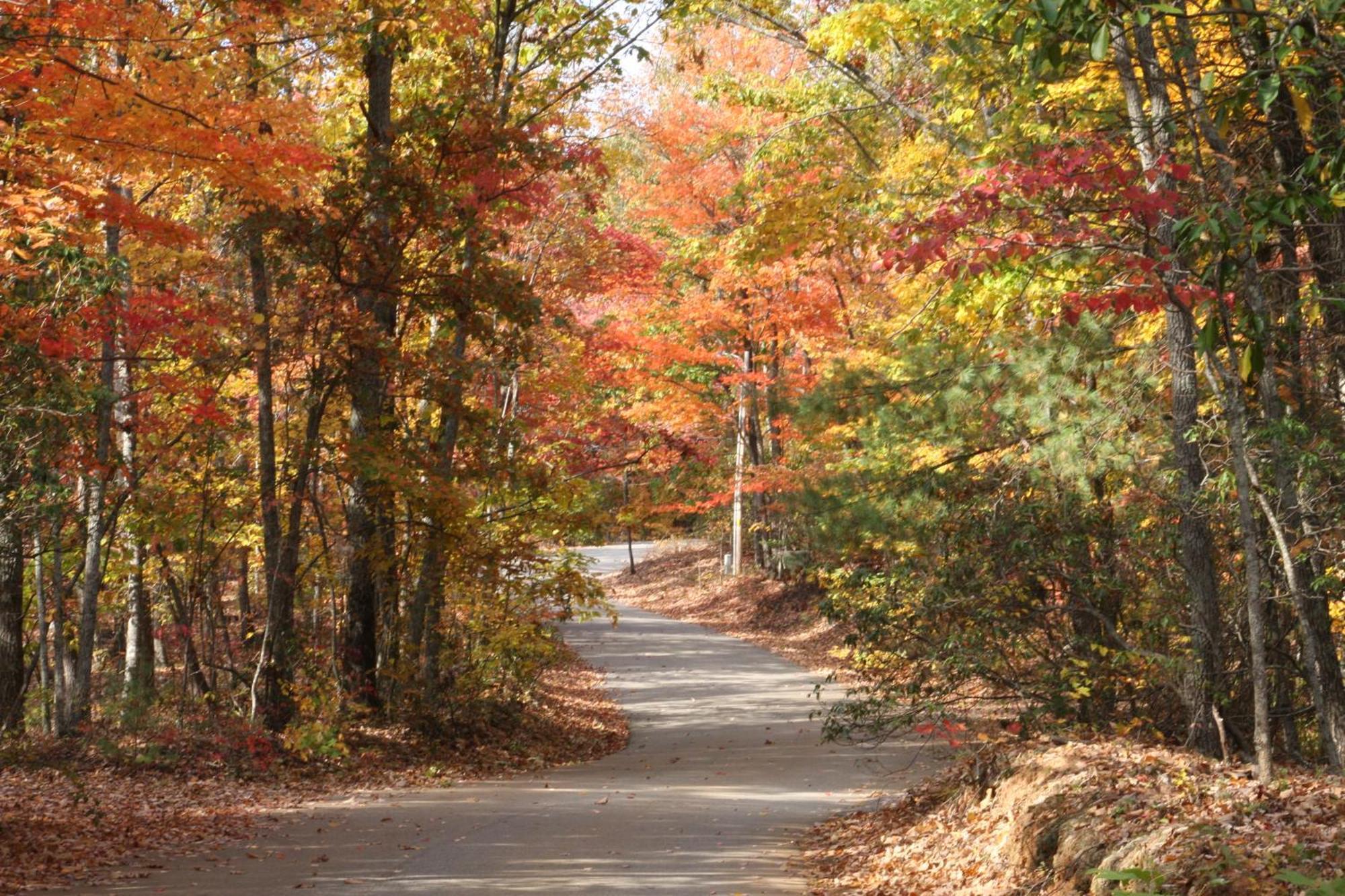 Forrest Hills Mountain Resort Dahlonega Exterior photo